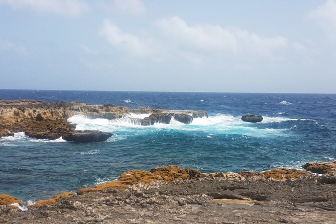 Best of Bonaire - Full Island Tour With a Local. - Key Points