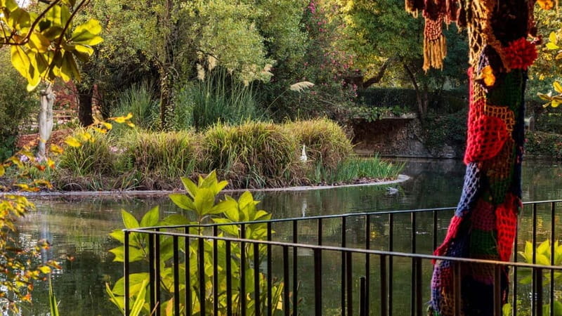 Best of Caldas da Rainha: Private Walking Tour with a Local - Exploring Caldas da Rainha at Your Own Pace