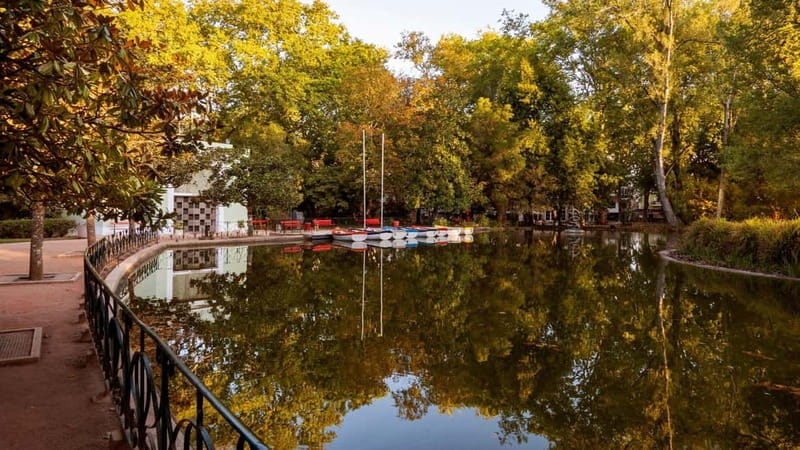 Best of Caldas da Rainha: Private Walking Tour with a Local - What to Expect from the Route and Highlights