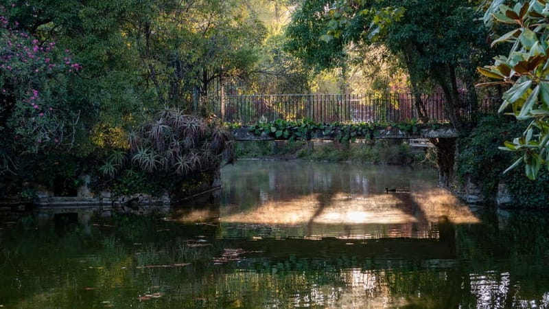 Best of Caldas da Rainha: Private Walking Tour with a Local - Practicalities and Tips