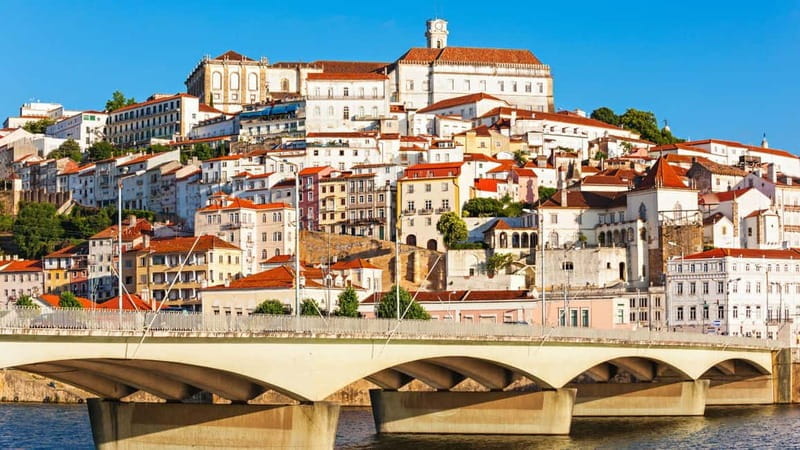Best of Coimbra: Private Walking Tour with a Local - Key Points / Takeaways