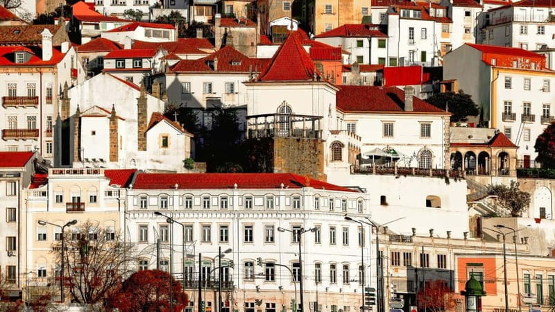 Best of Coimbra: Private Walking Tour with a Local - Final Thoughts