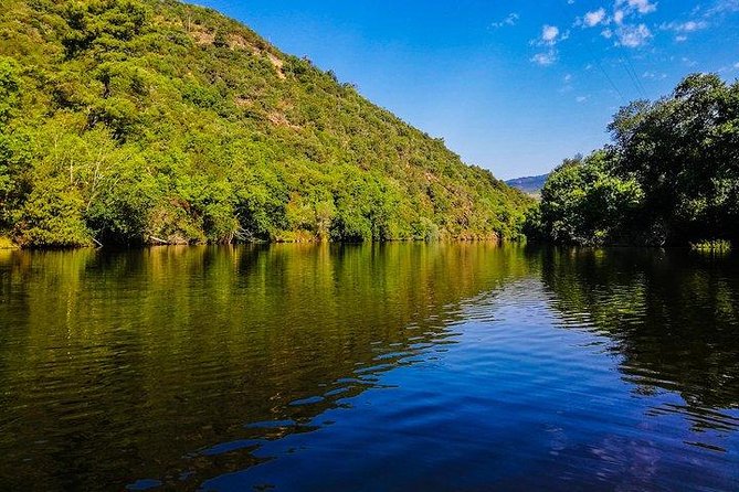 Best of Douro Valley Wine Full Day Private Tour - Key Points