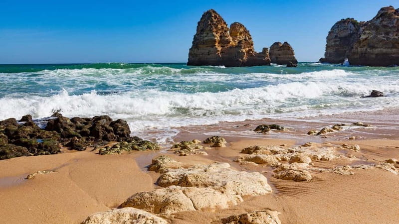 Best of Faro: Private Walking Tour with a Local - A Detailed Look at the Faro Private Walking Tour