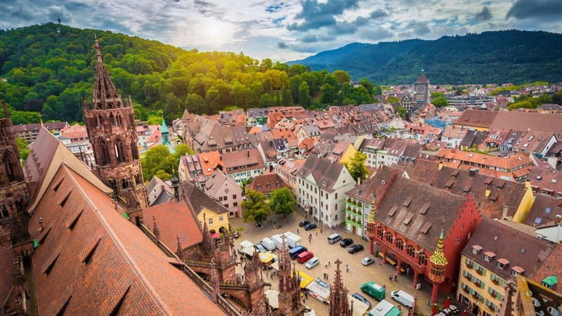 Best of Freiburg: Private Walking Tour with a Local - Key Points / Takeaways