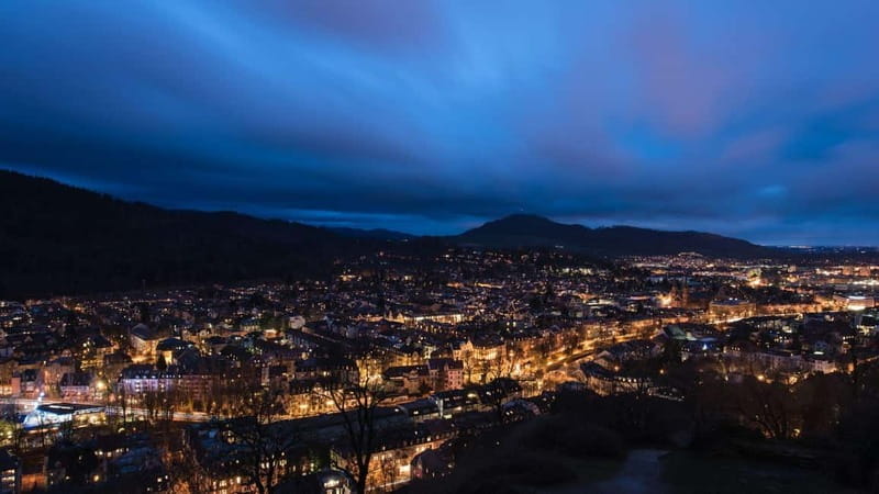 Best of Freiburg: Private Walking Tour with a Local - Who Would Love This Tour?