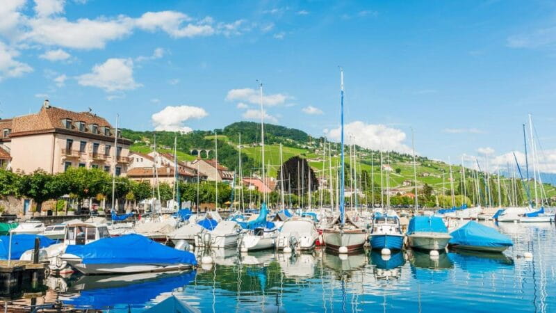 Best of Geneva: Private Walking Tour with a Local - Who This Tour Suits Best