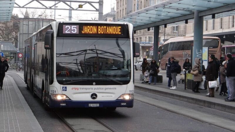 Best of Geneva: Private Walking Tour with a Local - Price and Value