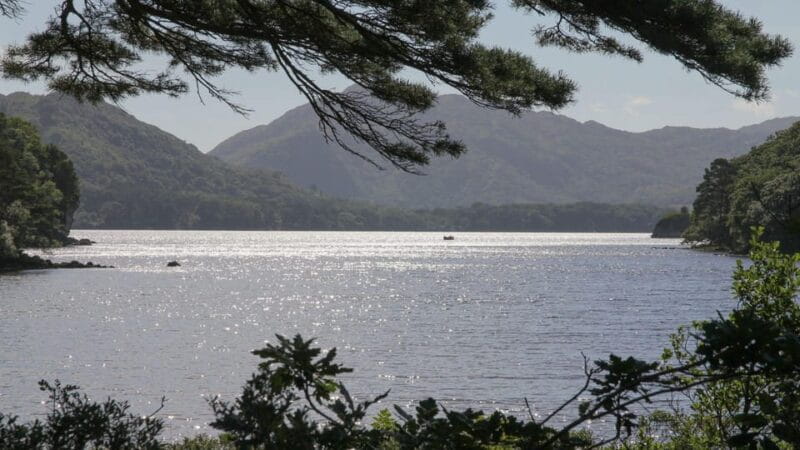 Best of Killarney: Private Walking Tour with a Local - The Sum Up: The Best Way to Experience Killarney