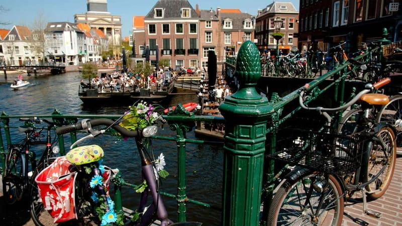 Best of Leiden: Private Walking Tour with a Local - Final Thoughts: Who Is This Tour Best For?