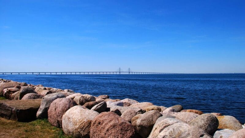 Best of Malmö: Private Walking Tour with a Local - Price and Logistics: Is It Worth It?