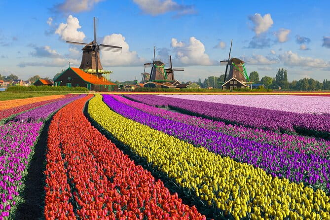 Best of Netherlands: Zaanse Schans Mills, The Hague & Rotterdam - Price and Overall Value