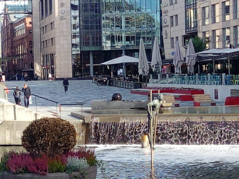 Best of Oslo: Walking Tour with a local guide - Practical Tips and Considerations