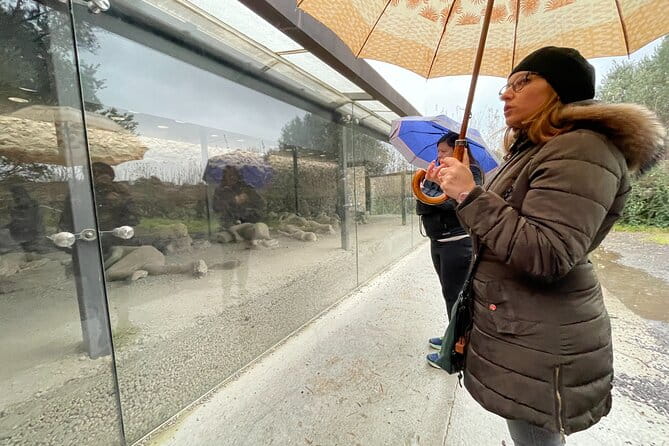 Best of Pompeii Small Group Guided Tour with Tickets - The Sum Up: Is This Tour Worth It?