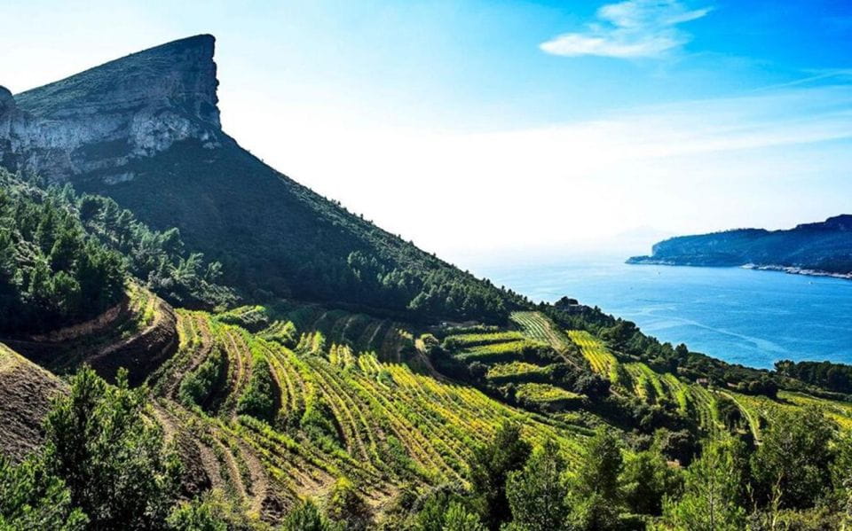 Best of PROVENCE : Aix-En-Provence+Cassis & Wine Tasting Day - Cassis Maritime Heritage