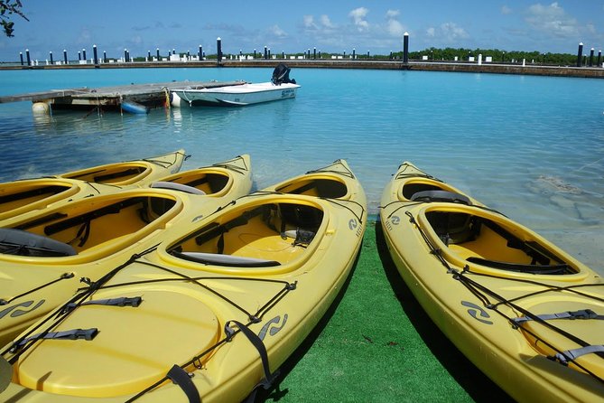 Best-of-Providenciales Buggy Sightseeing Tour - Pricing and Booking