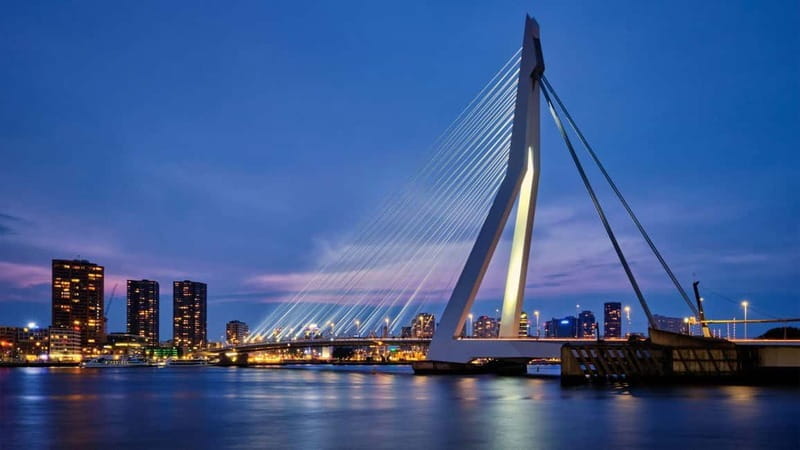Best of Rotterdam: Private Walking Tour with a Local - Key Points / Takeaways