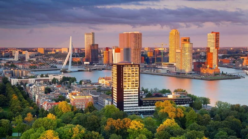 Best of Rotterdam: Private Walking Tour with a Local - Rotterdam’s Modern Identity and Historic Charm
