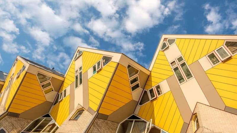 Best of Rotterdam: Private Walking Tour with a Local - Navigating the Logistics and Value