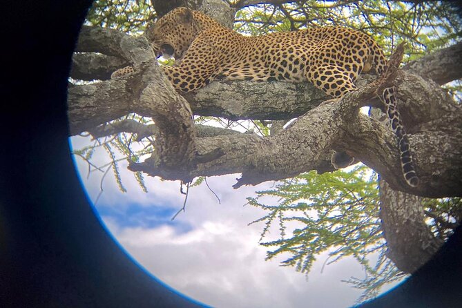 Best of Tanzania 5days 4nights Safari - Meeting and Pickup