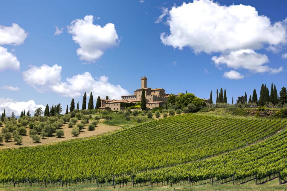 Best of Tuscany: Full Day Private Tour of the Val D'orcia - Taking in Montalcinos Winemaking Heritage