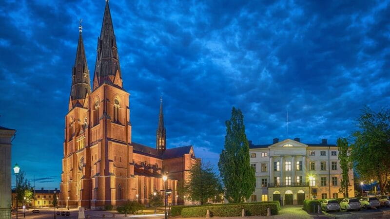 Best of Uppsala: Private Walking Tour with a Local - Key Points / Takeaways