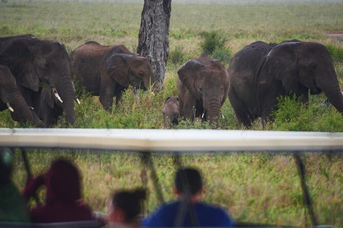 Best-Selling Tanzania Trips: 5 Days Tour Package - Pricing and Reviews