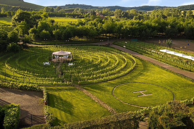 Best Winery with Restaurant and wine tasting from Florence - Practical Tips and Considerations