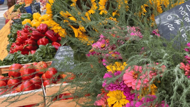 Between sea and hills: in the footsteps of Allauch, Aix, Marseille - FAQ