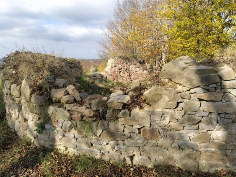 Beyond Brno: Secrets of Moravian Nature - Half-Day Tour - FAQ