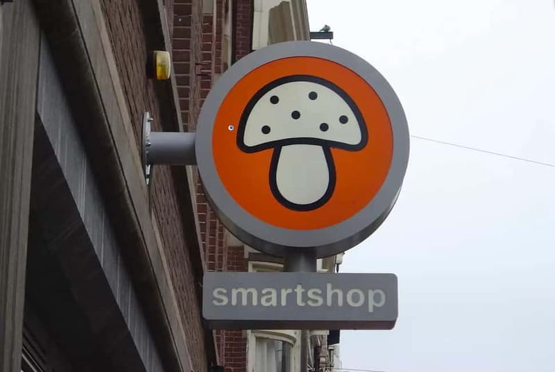 Beyond the Coffee Shops: Amsterdams Underground Drug Story - FAQ