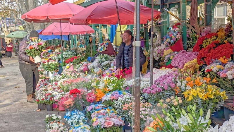 Beyond the Old City: Tbilisi's Hidden Gems Walking Tour - Key Points / Takeaways