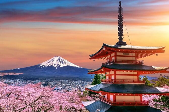 Beyond the Ordinary: Private Mount Fuji & Cherry Blossom Tour - Pickup and Drop-off Details