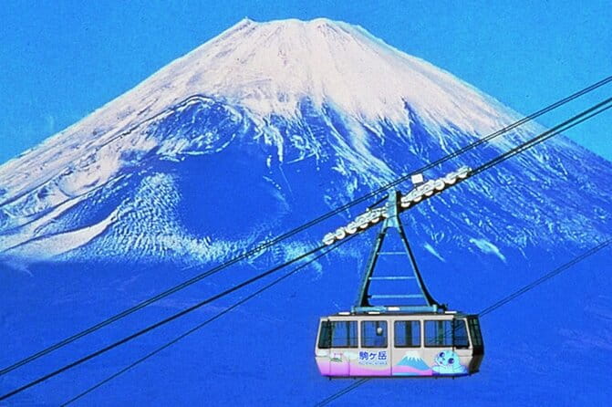 Beyond the Ordinary: Private Mount Fuji & Cherry Blossom Tour - Accessibility and Accommodations