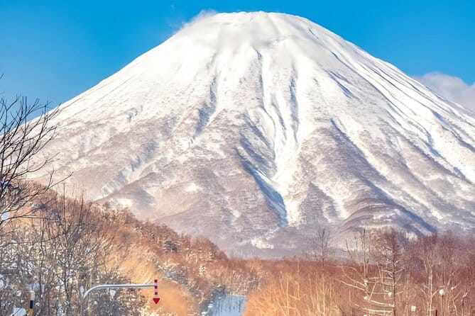 Beyond the Ordinary: Private Mount Fuji & Cherry Blossom Tour - Weather Considerations