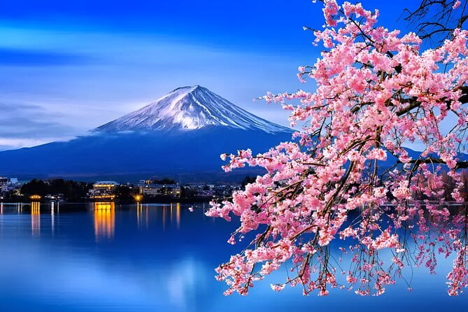 Beyond the Ordinary: Private Mount Fuji & Cherry Blossom Tour - Driver Expertise and Assistance