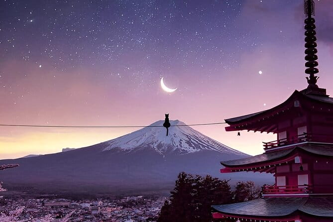 Beyond the Ordinary: Private Mount Fuji & Cherry Blossom Tour - Tour Reviews and Ratings