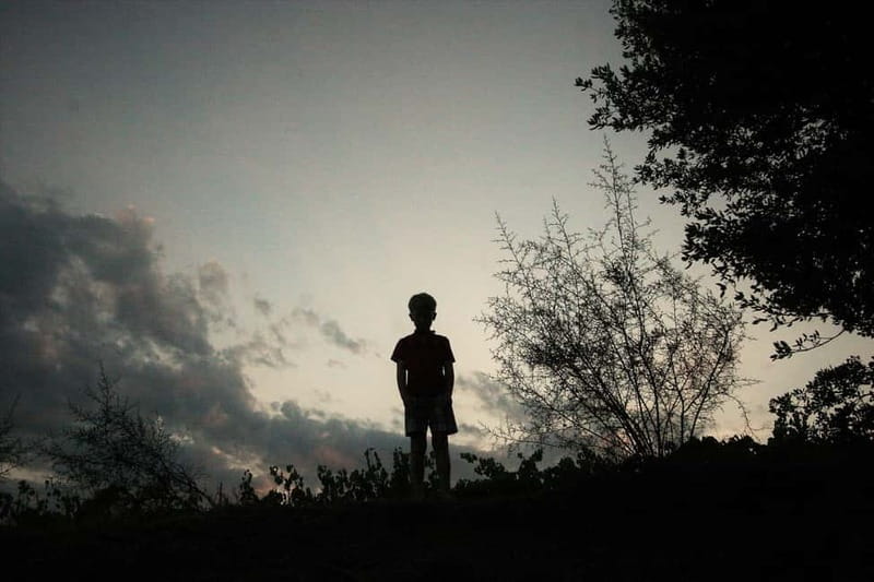 Beziers: Eco Wine Tasting at Sarabande Wines Off-Grid Winery - Final Thoughts: Is This the Right Experience for You?