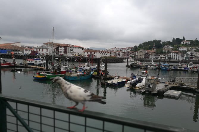 Biarritz & La Côte Basque Private tour - Final Thoughts