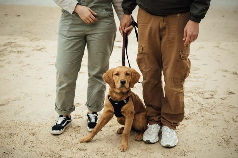 Biarritz Private Photoshoots - A Deep Dive into the Biarritz Private Photoshoot Experience