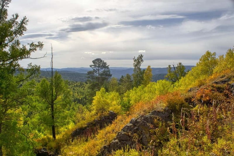 Biaystok private guided city tour - Who Should Consider This Tour?