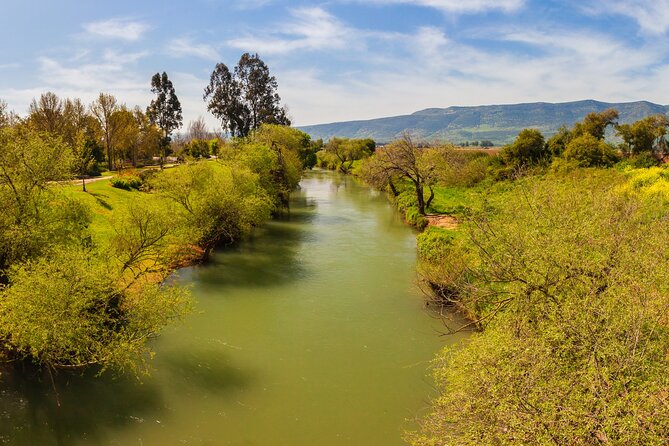 Biblical Highlights of the Galilee Tour From Tel Aviv - Confirmation and Accessibility