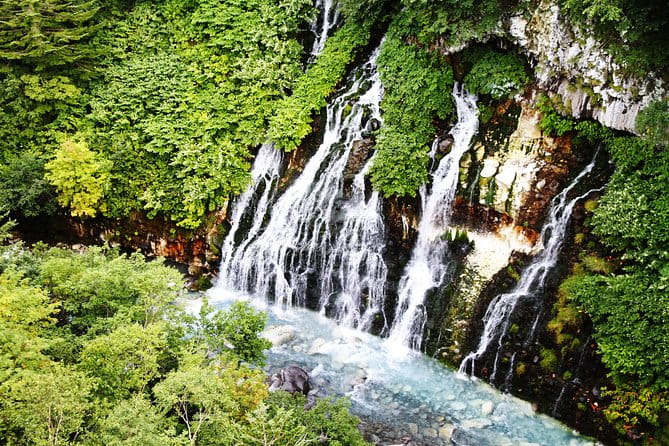 [Biei/Furano] One-Day Sightseeing by Private Car! - Traveler Experiences and Reviews