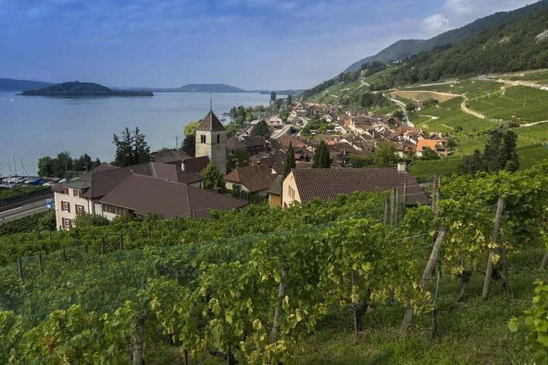 Biel/Bienne: Private Guided City Tour - FAQ