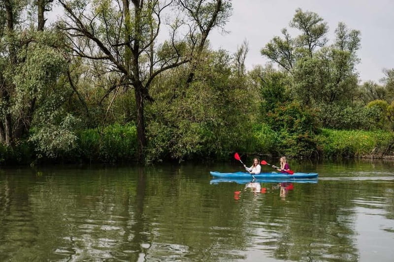 Biesbosch: Kayak Rental with Route Map and Life Jacket - Discovering Biesbosch by Kayak: An Experience for the Curious