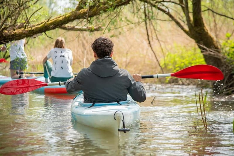 Biesbosch: Kayak Rental with Route Map and Life Jacket - Who Should Consider This Experience?