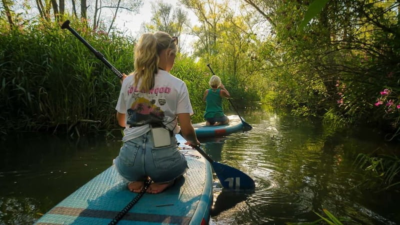 Biesbosch: SUP Board Rental - Key points / Takeaways