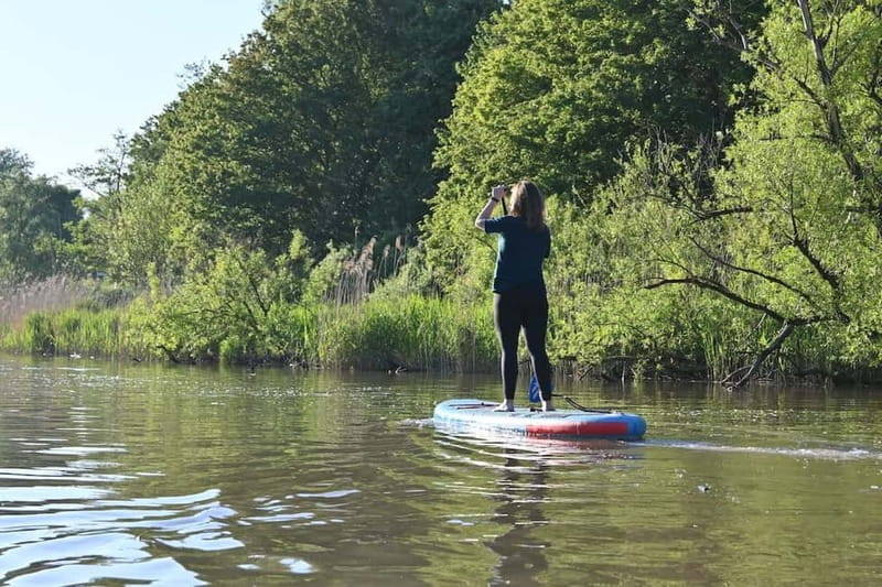 Biesbosch: SUP Board Rental - Location and Setting: The Heart of South Hollands Waterways