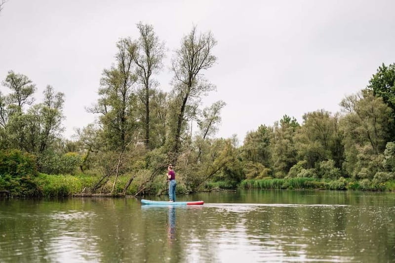 Biesbosch: SUP Board Rental - The Experience Itself: Paddling Through Peaceful Creeks