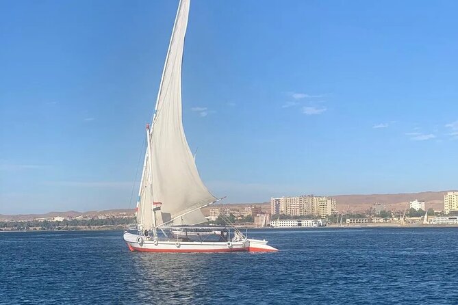 Big Brother Travel - Company Highlights